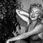 Marilyn Monroe wallpapers