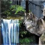 Wolf Fantasy image