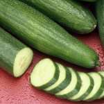 Cucumber photos