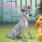 Lady And The Tramp hd photos
