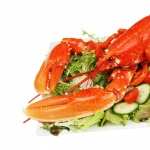 Lobster Food high definition wallpapers