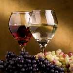 Wine new wallpapers