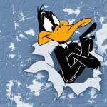 Daffy Duck free wallpapers