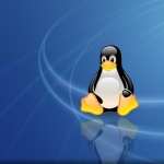 Linux full hd