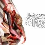 The Amazing Spider-Man hd pics