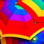 Umbrella Photography free download