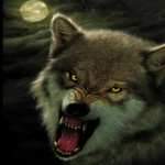 Wolf Fantasy 1080p