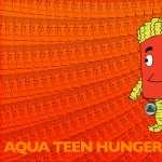Aqua Teen Hunger Force hd pics