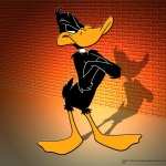 Daffy Duck high definition photo