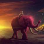 Elephant Fantasy photo