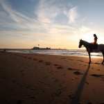 Horse Riding images