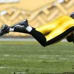 Pittsburgh Steelers pics
