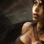 Tomb Raider (2013) image