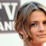 Stana Katic high definition photo