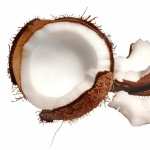 Coconut free download