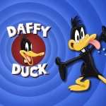Daffy Duck wallpaper