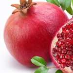 Pomegranate wallpapers
