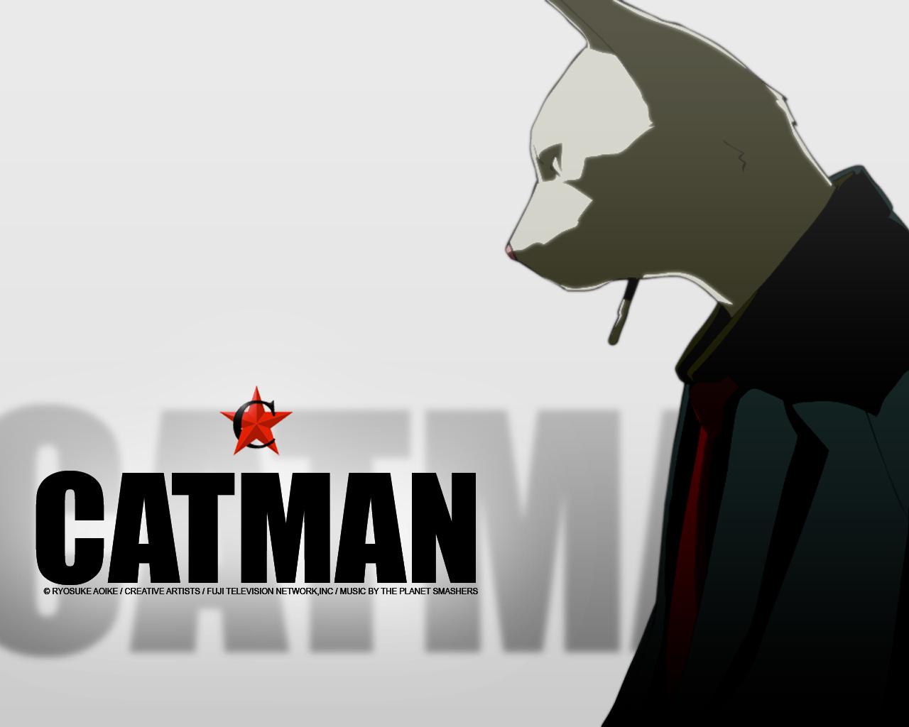 Catman wallpapers HD quality