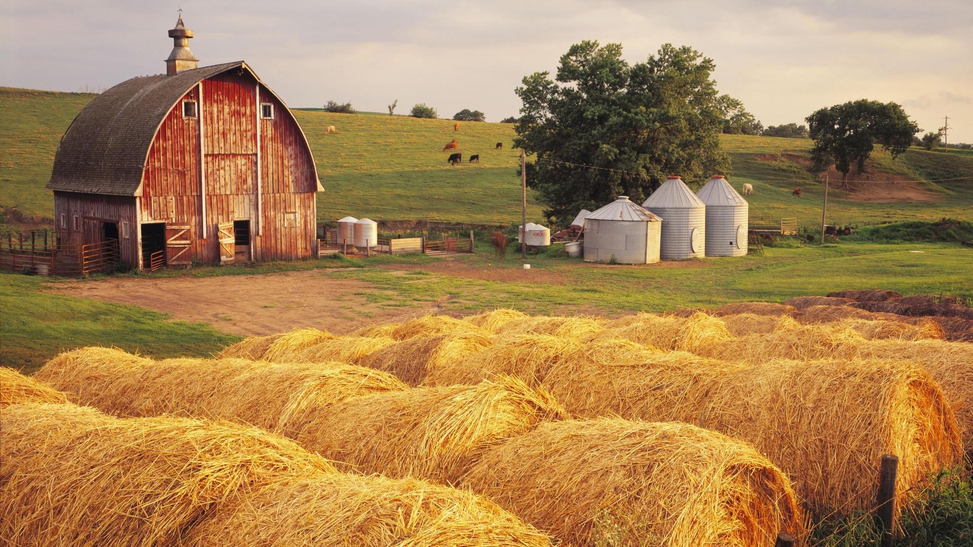 Farm at 2048 x 2048 iPad size wallpapers HD quality