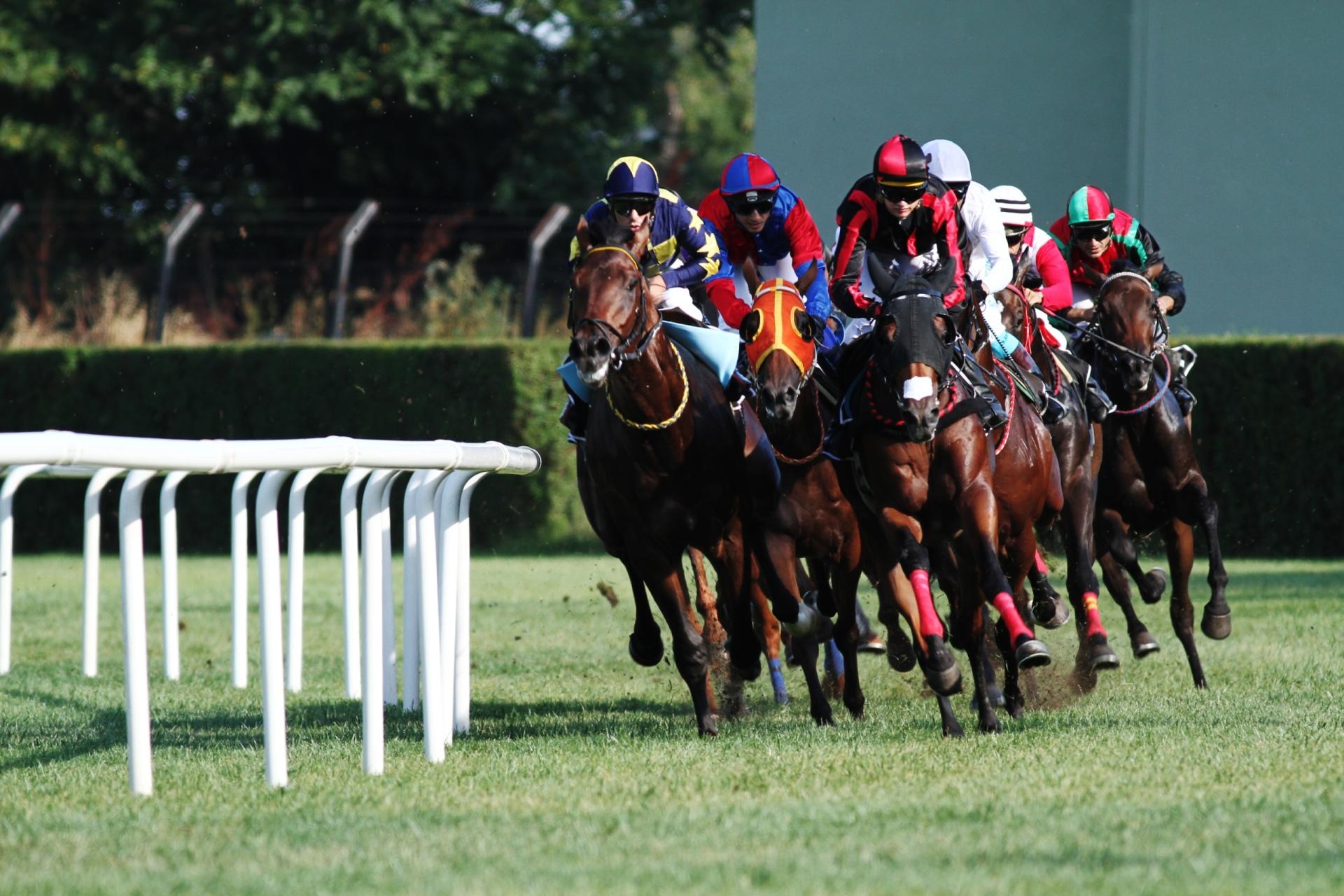 Horse Racing wallpapers HD quality