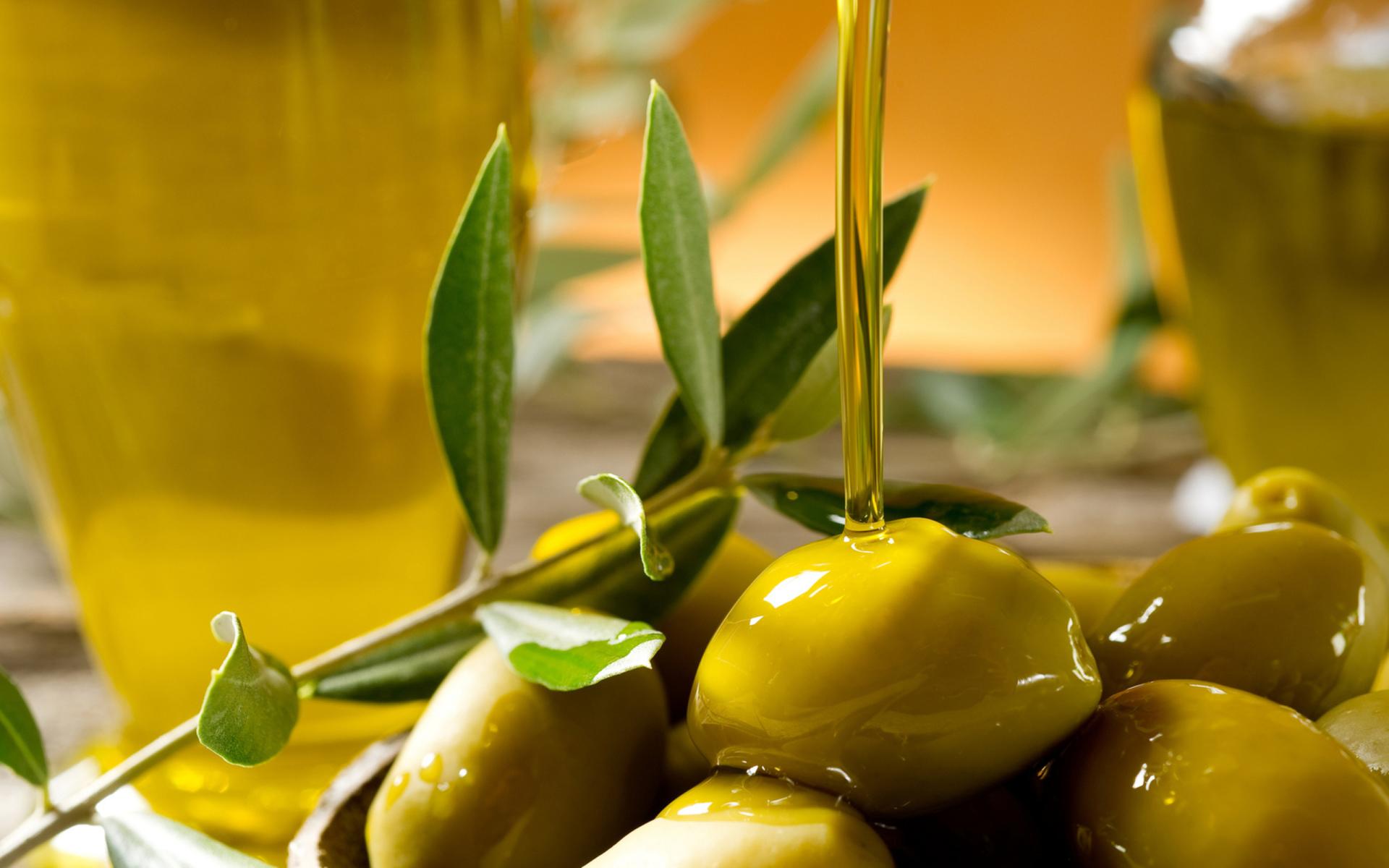 Olive at 640 x 1136 iPhone 5 size wallpapers HD quality