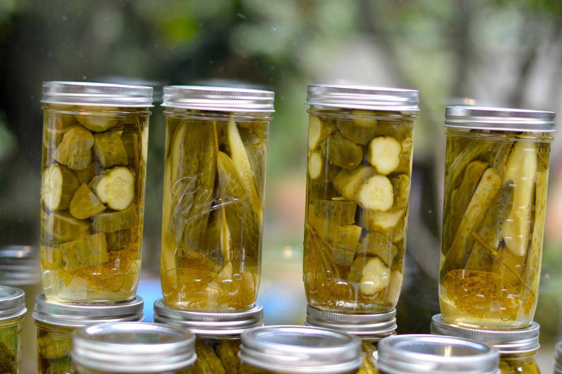 Pickles at 1600 x 1200 size wallpapers HD quality