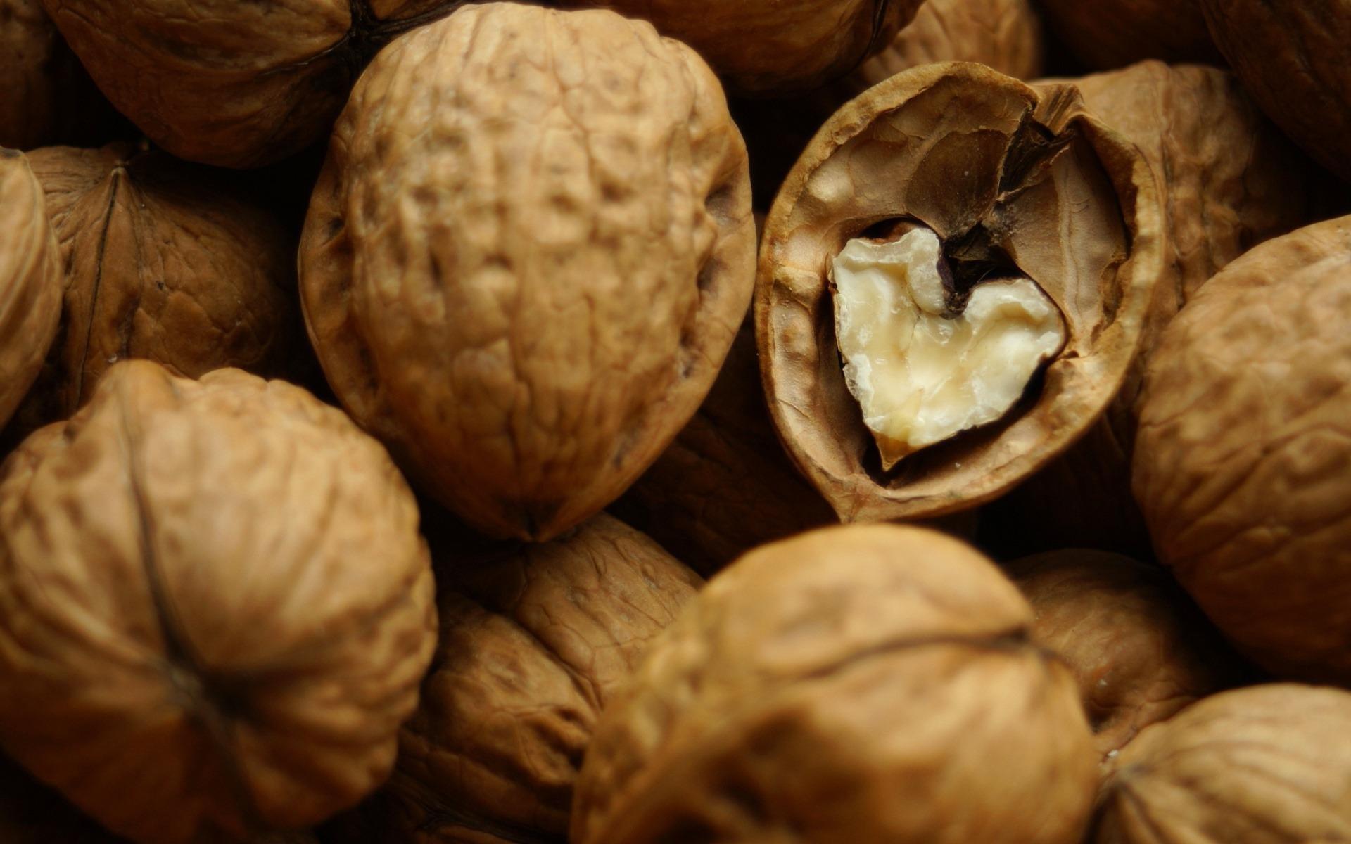 Walnut at 1600 x 1200 size wallpapers HD quality