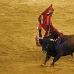 Bullfighting desktop wallpaper