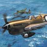 Curtiss P-40 Warhawk full hd