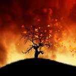 Tree Artistic wallpapers hd