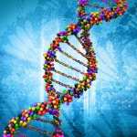 DNA Structure high definition wallpapers