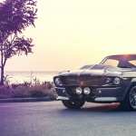 Ford Mustang Shelby Cobra GT 500 photos