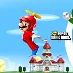 New Super Mario Bros. Wii download