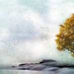 Tree Artistic high quality wallpapers