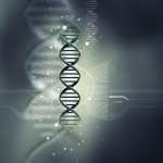 DNA Structure desktop wallpaper
