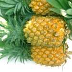 Pineapple high quality wallpapers