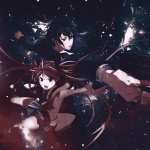 Black Bullet free