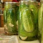 Pickles pics