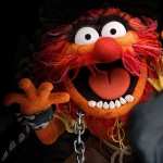 The Muppet Show images
