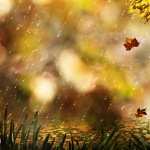 Fall Artistic PC wallpapers