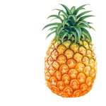 Pineapple free
