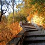 Stairs pics