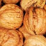 Walnut images