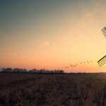 Windmill wallpapers for android
