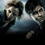 Harry Potter And The Deathly Hallows Part 1 download wallpaper