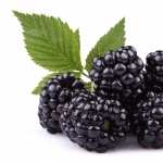 Blackberry Food pics