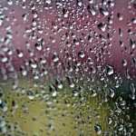 Raindrops Photography photos