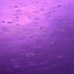 Raindrops Photography high quality wallpapers