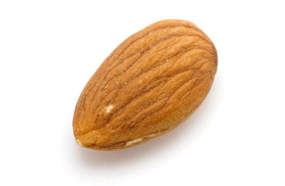 Almond wallpapers hd quality