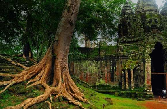Angkor Thom wallpapers hd quality